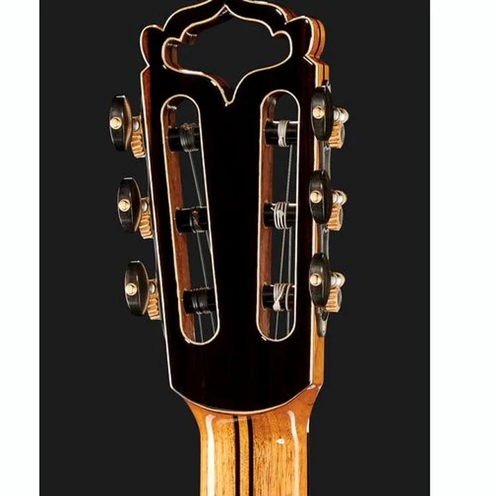 Hanika Fusion PC w/Pickup