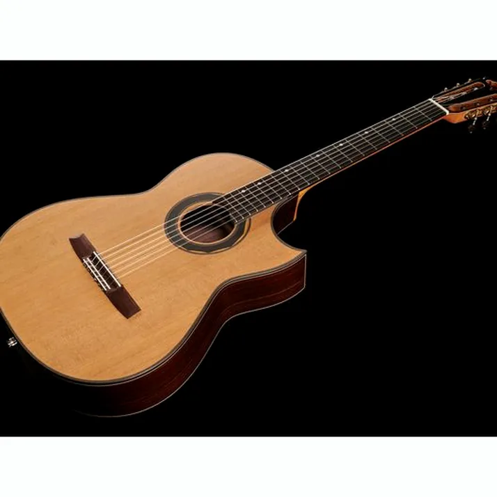 Hanika Fusion PC w/Pickup