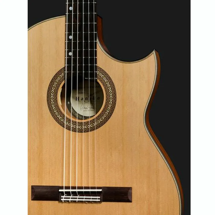 Hanika Thomann Custom Special