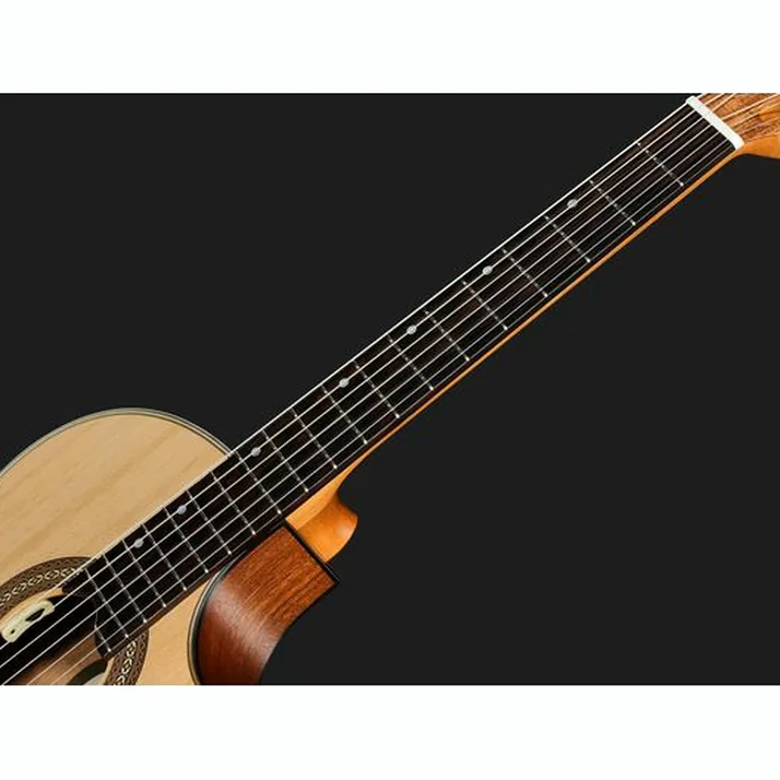 Hanika Thomann Custom Special