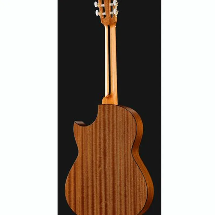 Hanika Thomann Custom Special