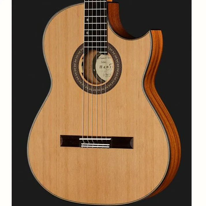 Hanika Thomann Custom Special