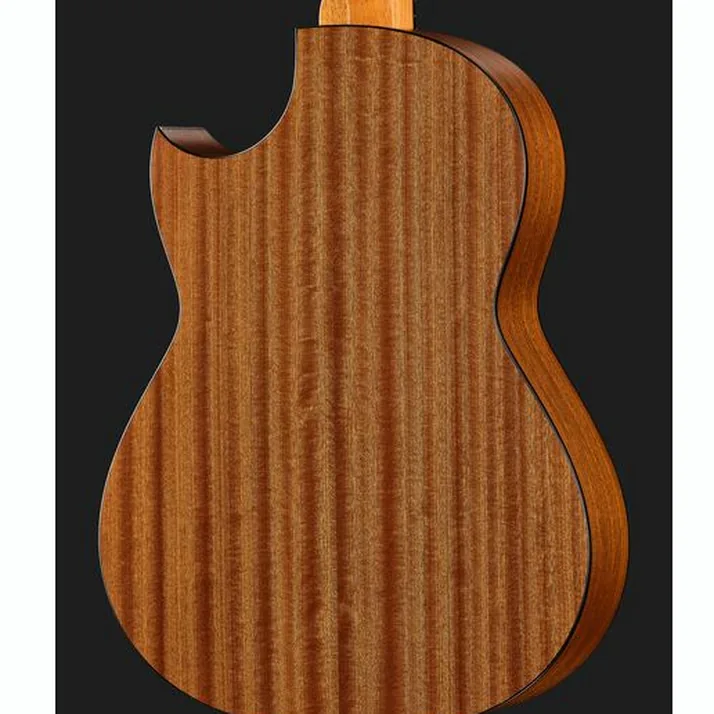 Hanika Thomann Custom Special