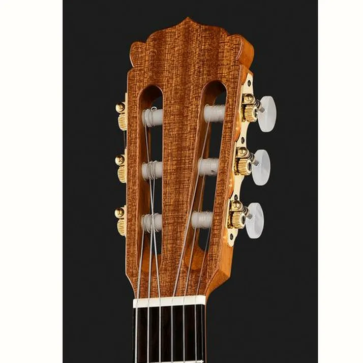Hanika Thomann Custom Special