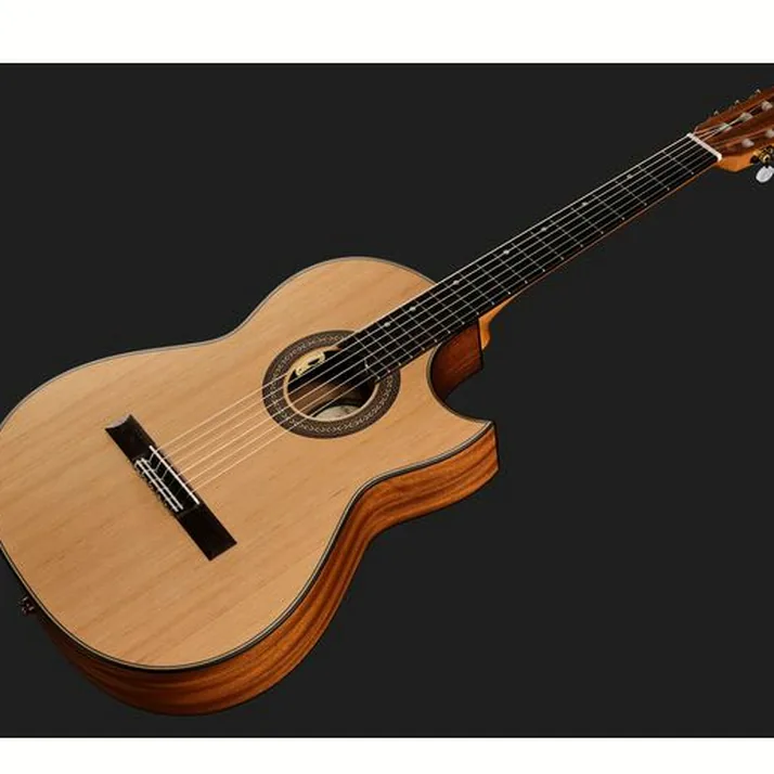 Hanika Thomann Custom Special