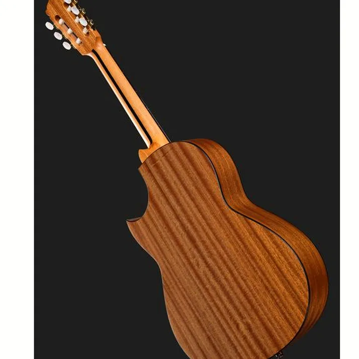Hanika Thomann Custom Special