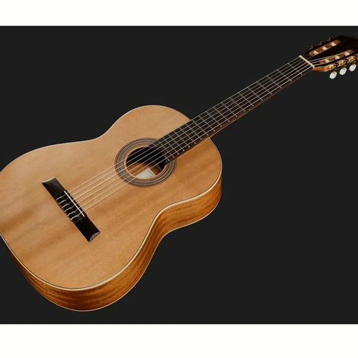 Höfner HZ23-L