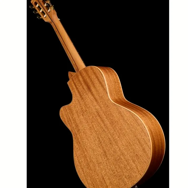 Höfner Meister Series HM65-F-CE