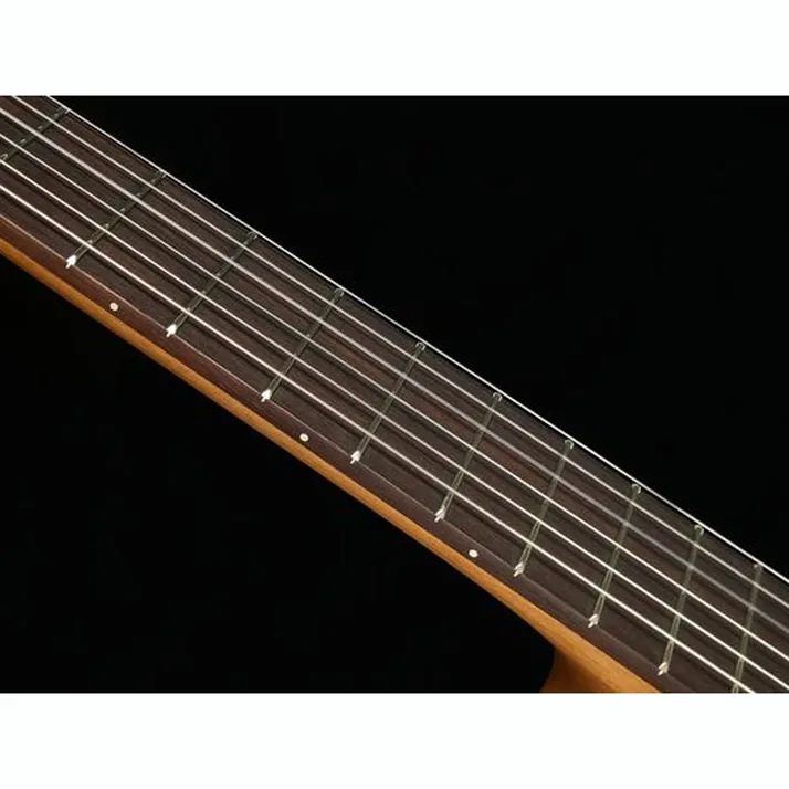 Höfner Meister Series HM65-F-CE