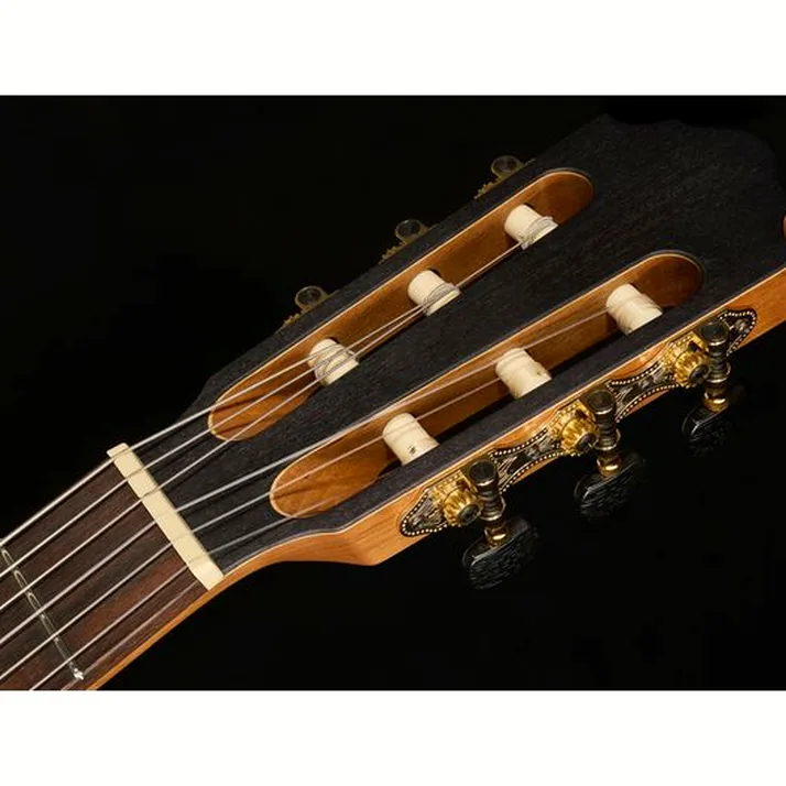 Höfner Meister Series HM65-F-CE