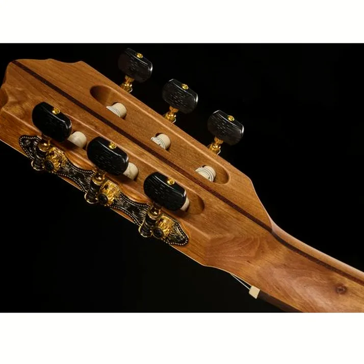 Höfner Meister Series HM65-F-CE