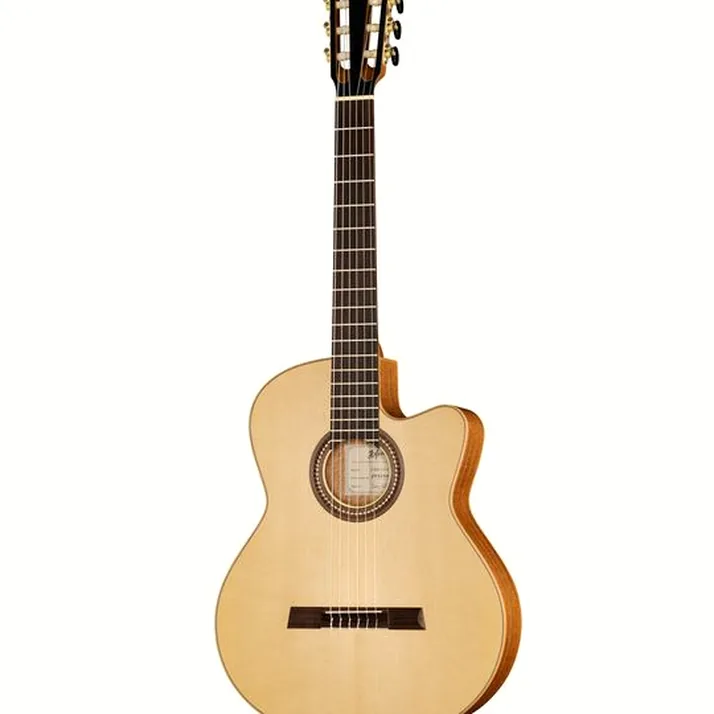 Höfner Meister Series HM65-F-CE