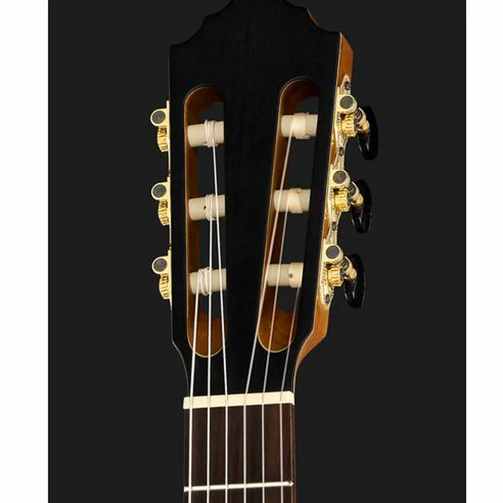 Höfner Meister Series HM65-F-CE
