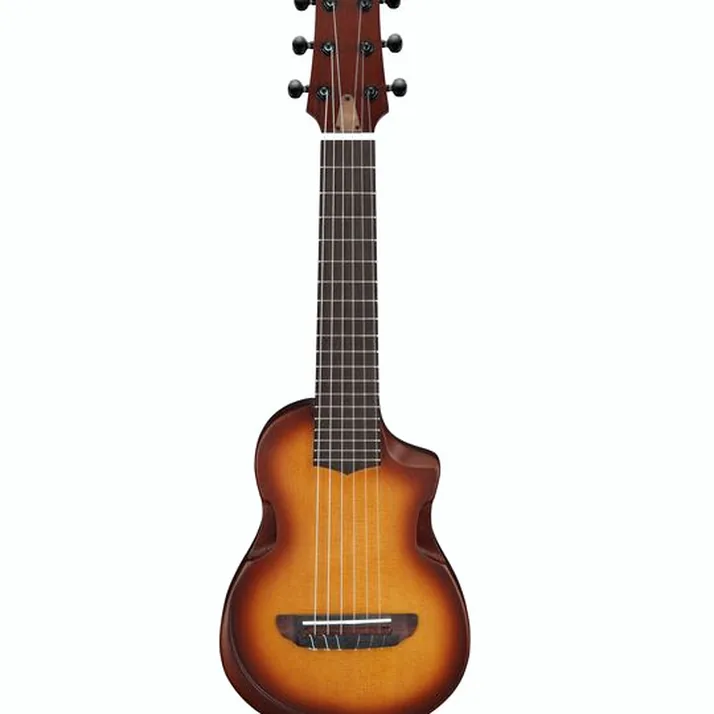 Ibanez AUP10N-OLB