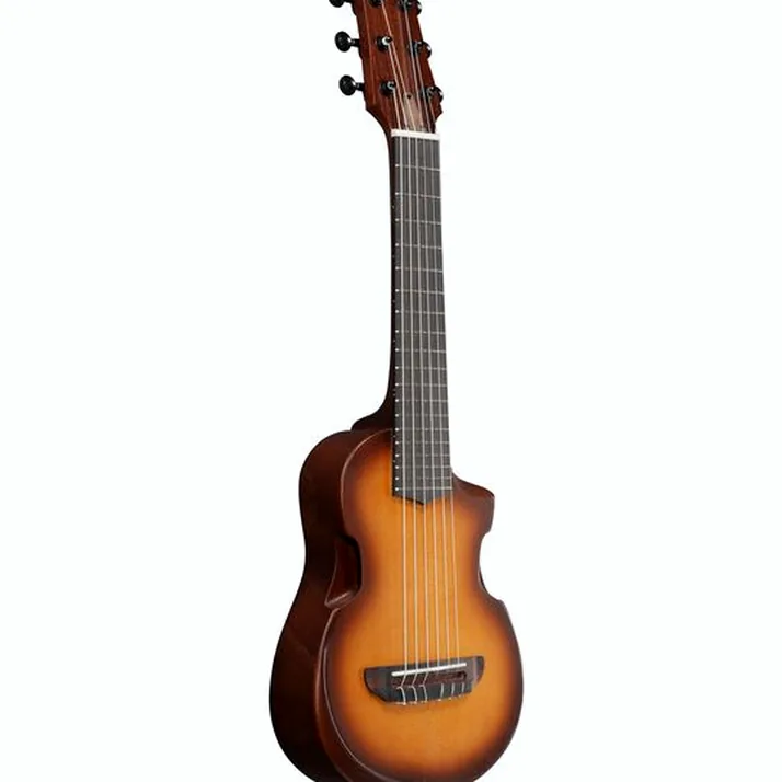 Ibanez AUP10N-OLB