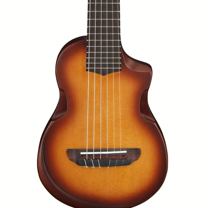 Ibanez AUP10N-OLB