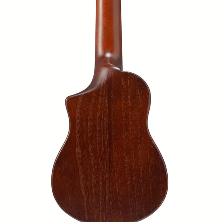 Ibanez AUP10N-OLB