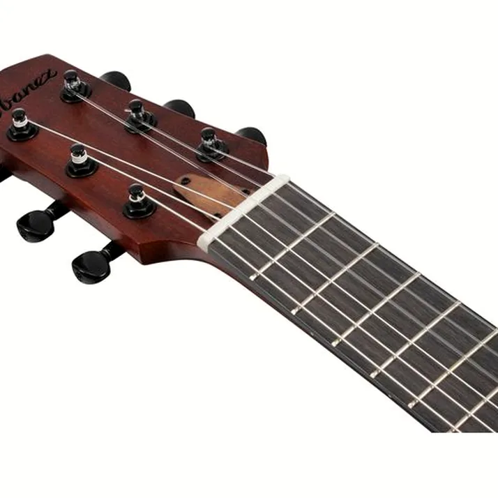 Ibanez AUP10N-OLB