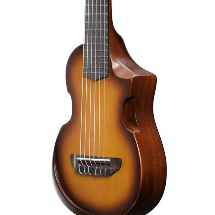 Ibanez AUP10N-OLB