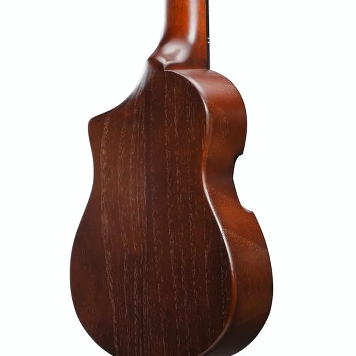 Ibanez AUP10N-OLB