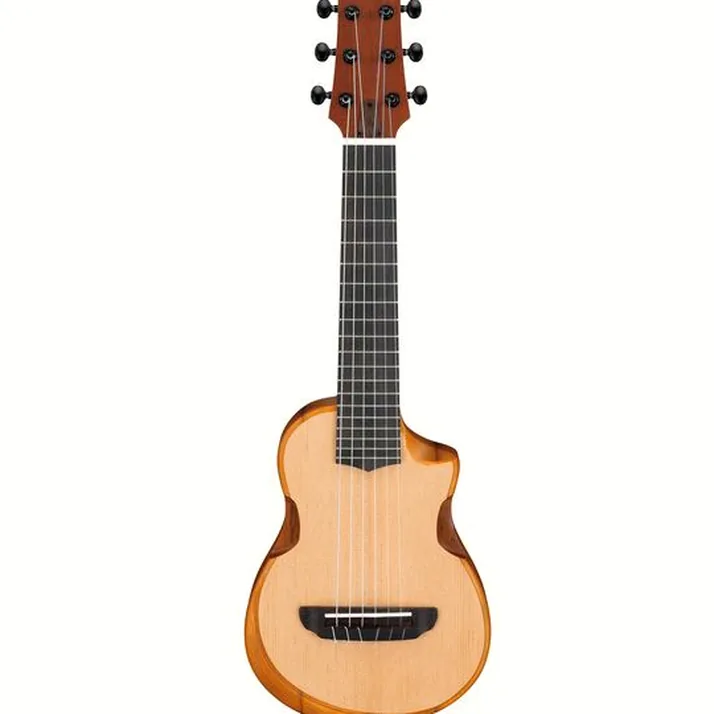 Ibanez AUP10N-OPN