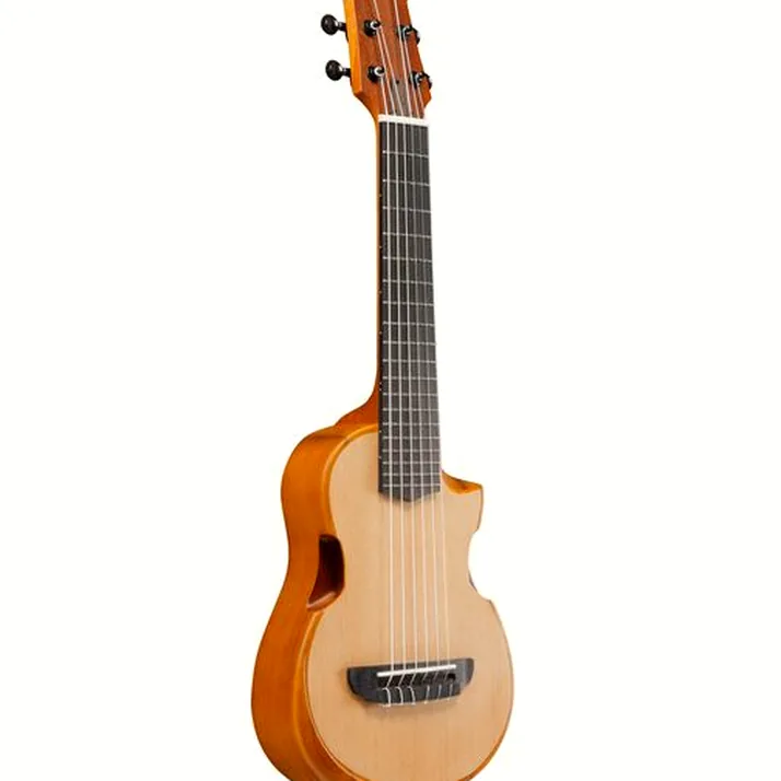 Ibanez AUP10N-OPN