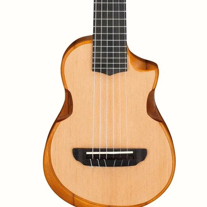 Ibanez AUP10N-OPN