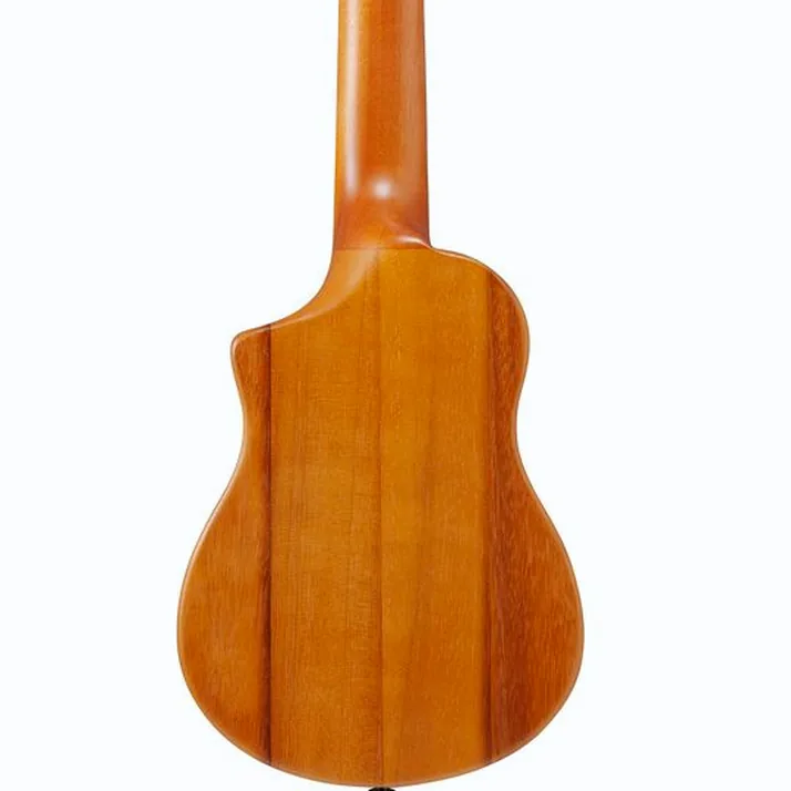 Ibanez AUP10N-OPN