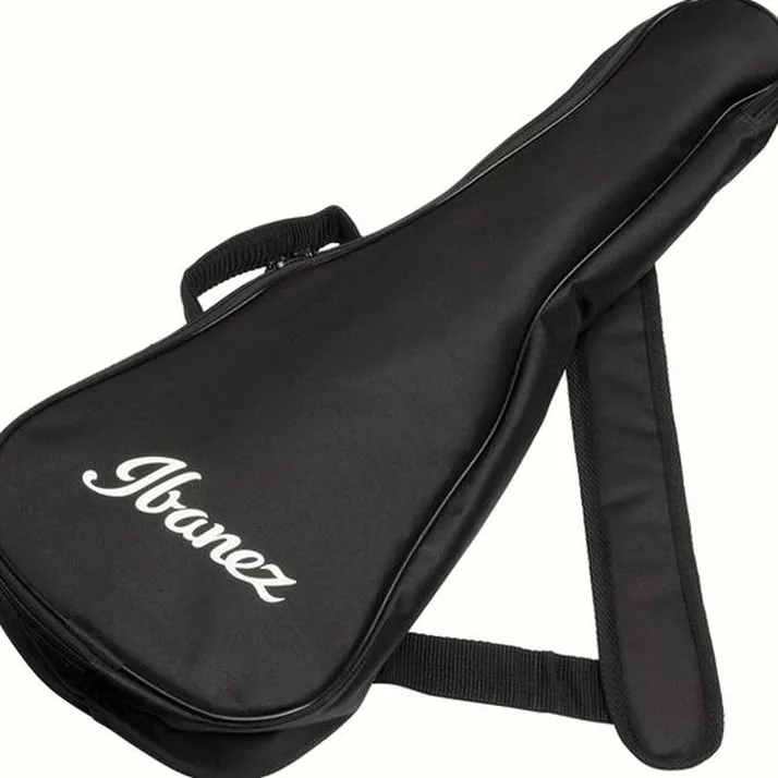 Ibanez AUP10N-OPN