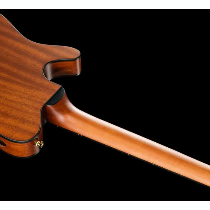 Ibanez FRH10N-BSF