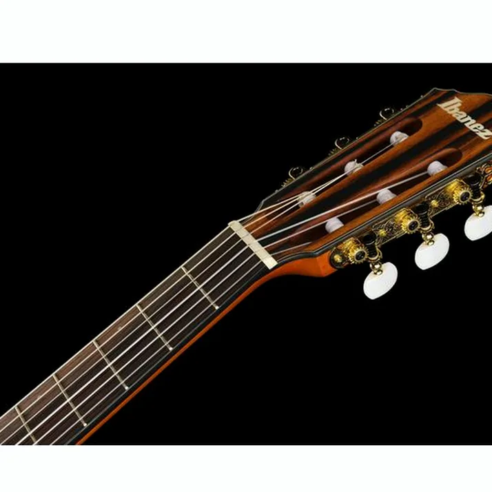 Ibanez FRH10N-BSF