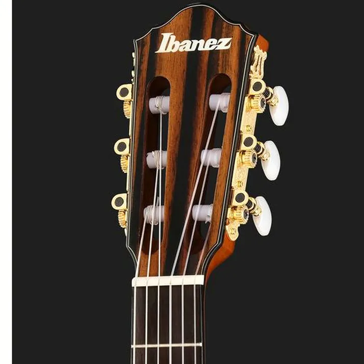 Ibanez FRH10N-BSF