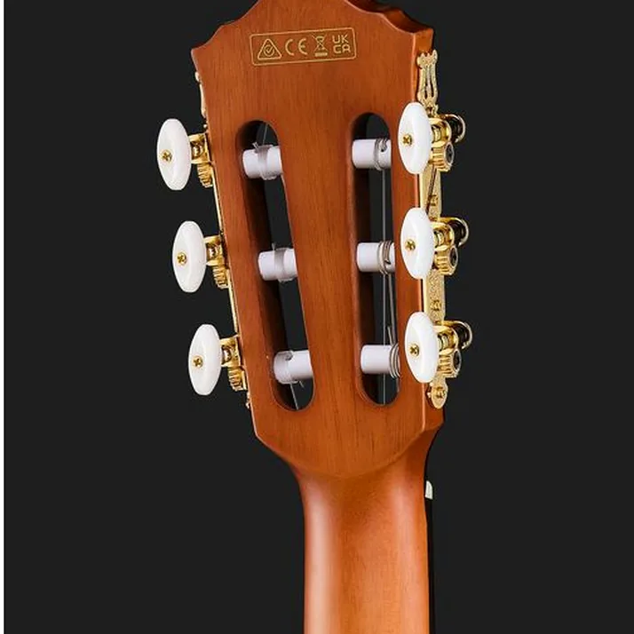 Ibanez FRH10N-BSF