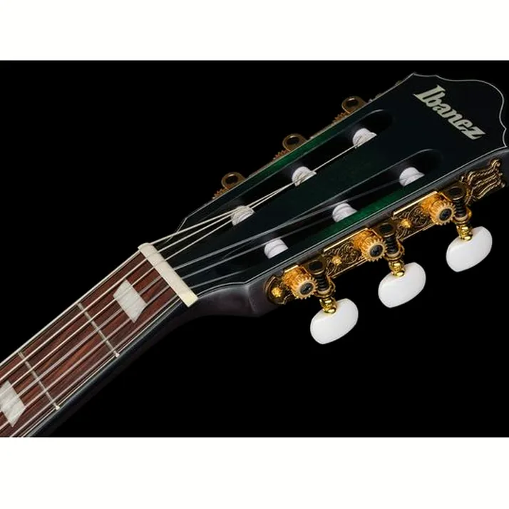 Ibanez FRH20FMN-DGL