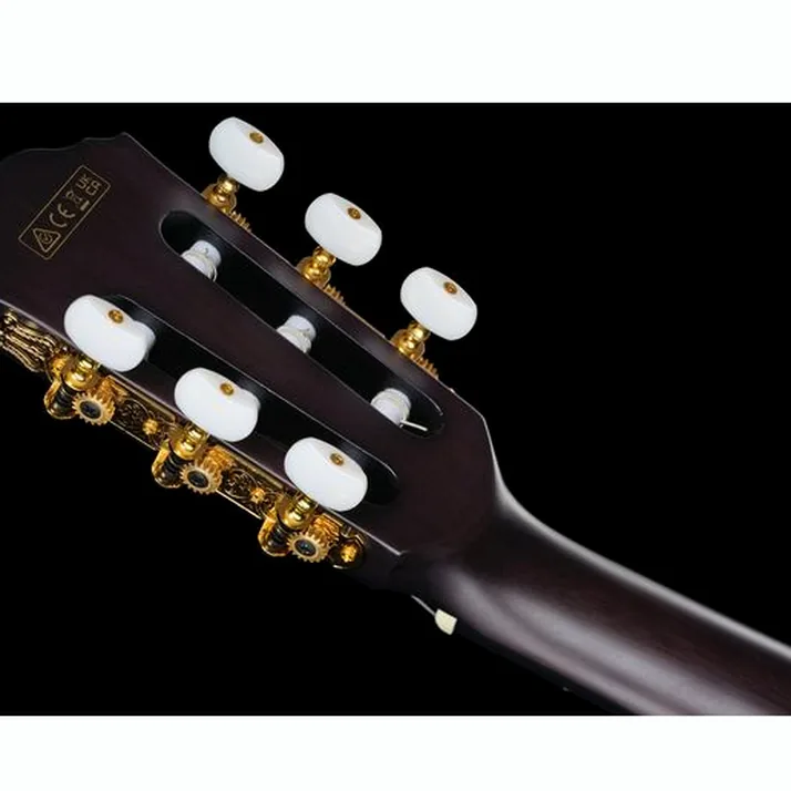 Ibanez FRH20FMN-DGL