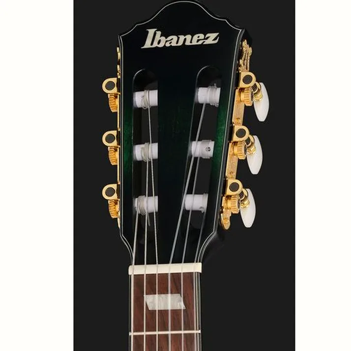 Ibanez FRH20FMN-DGL