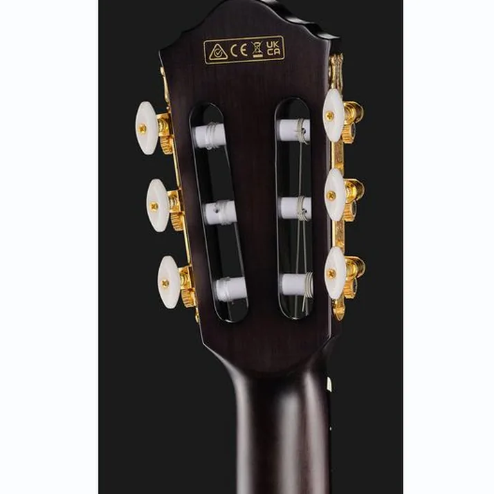 Ibanez FRH20FMN-DGL