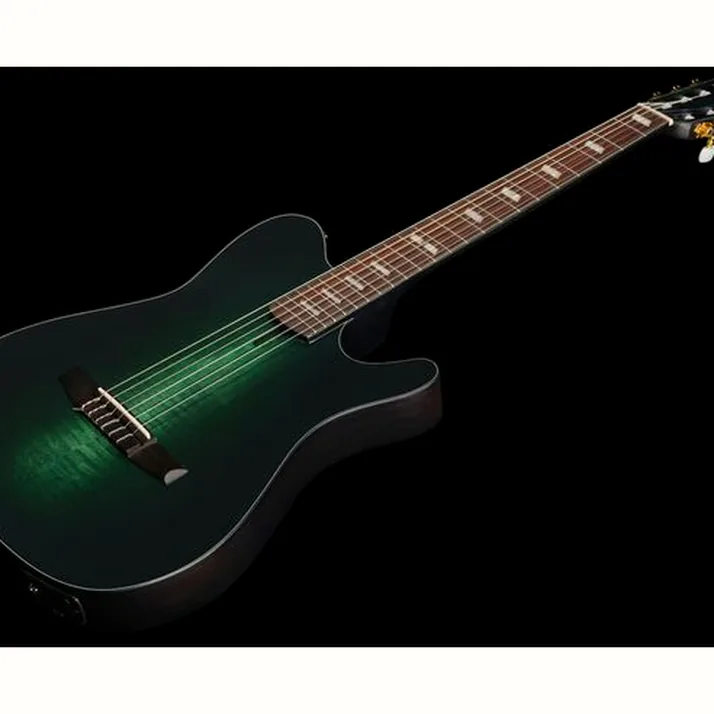 Ibanez FRH20FMN-DGL