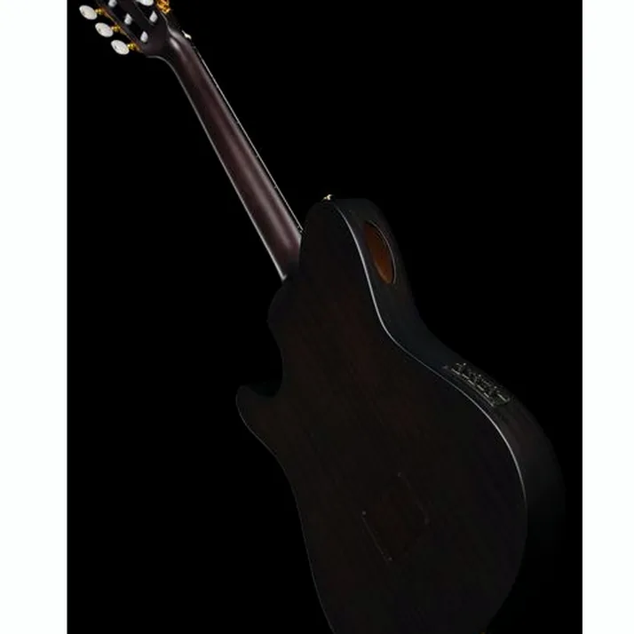 Ibanez FRH20FMN-DGL