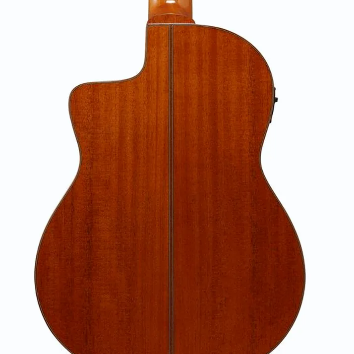 Ibanez GA3007CE-NT