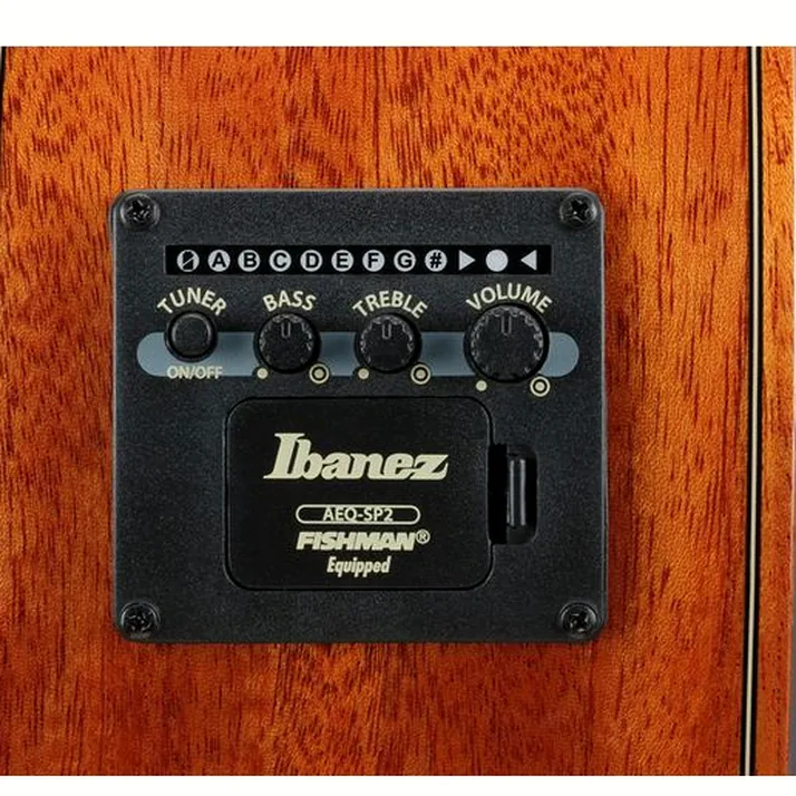 Ibanez GA3007CE-NT