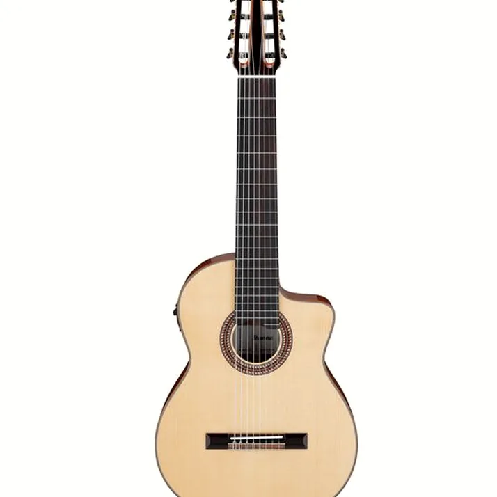 Ibanez GA3008CE-NT