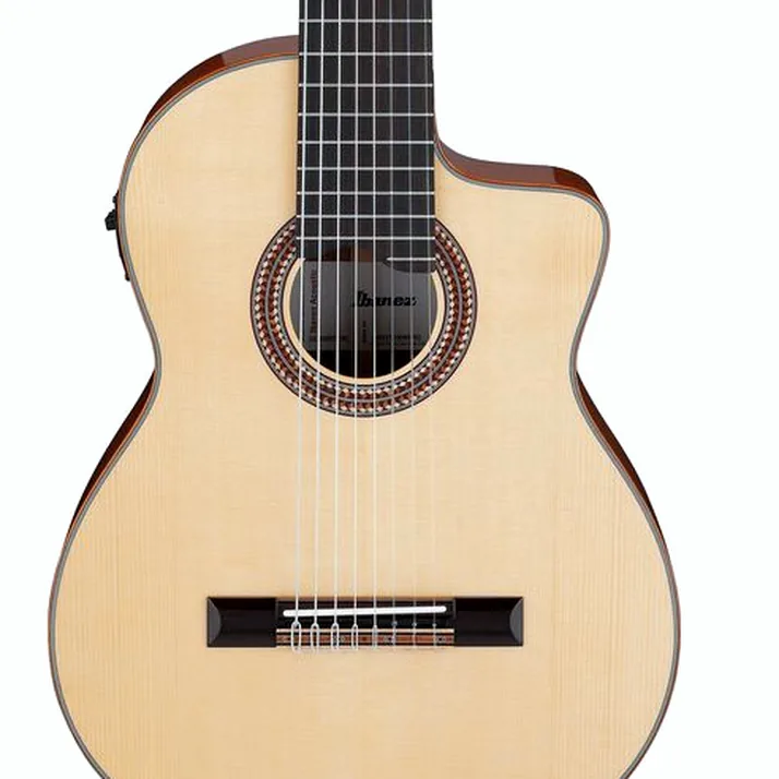 Ibanez GA3008CE-NT