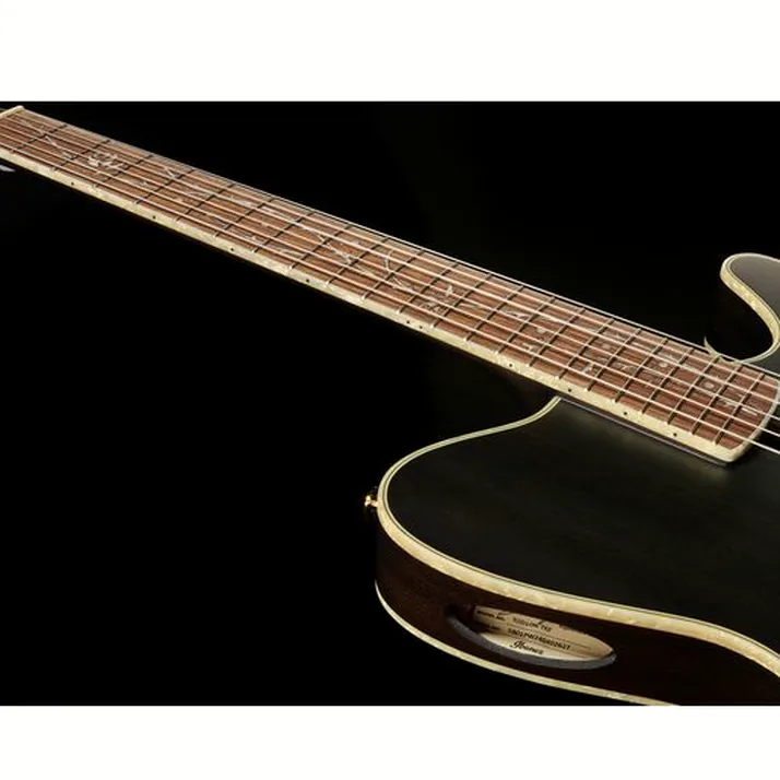 Ibanez Signature Tim Henson TOD10N
