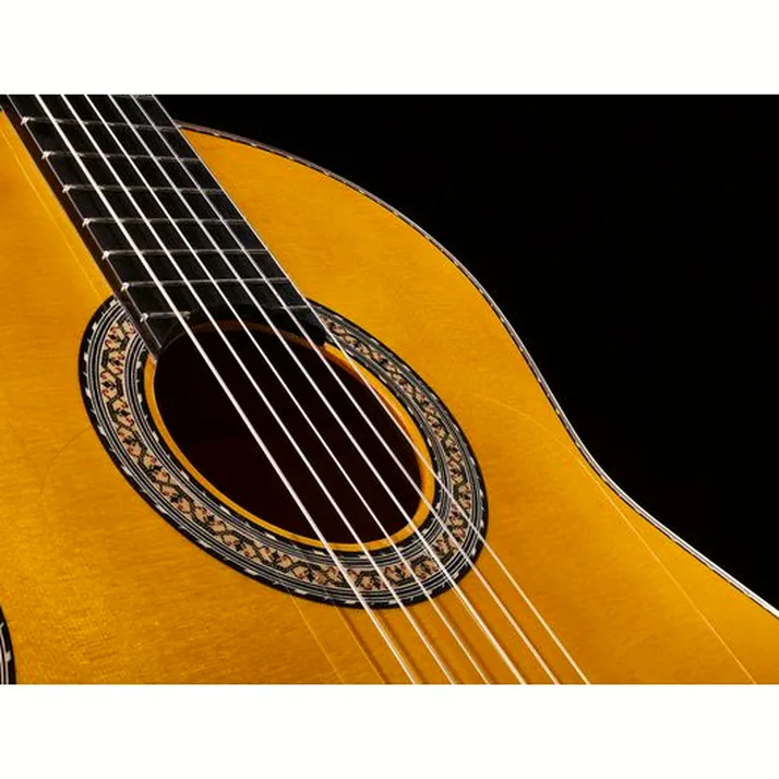 Juan Hernandez Flamenca Profesional SP