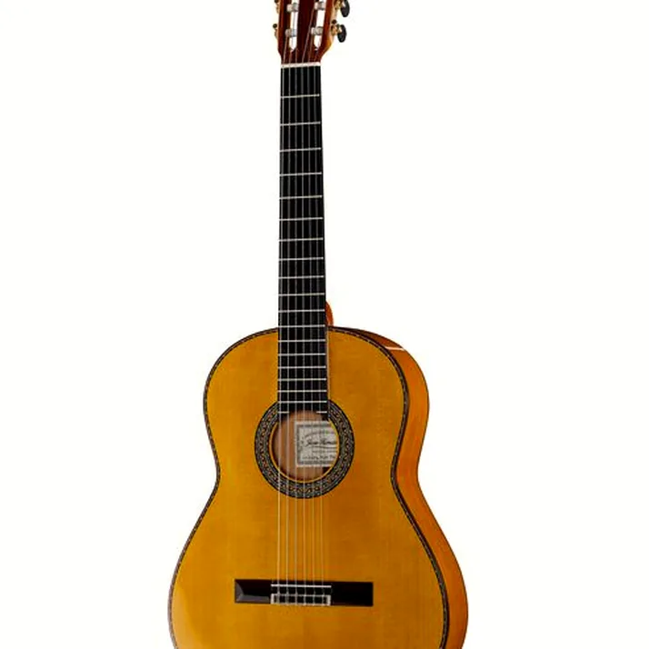 Juan Hernandez Flamenca Profesional SP