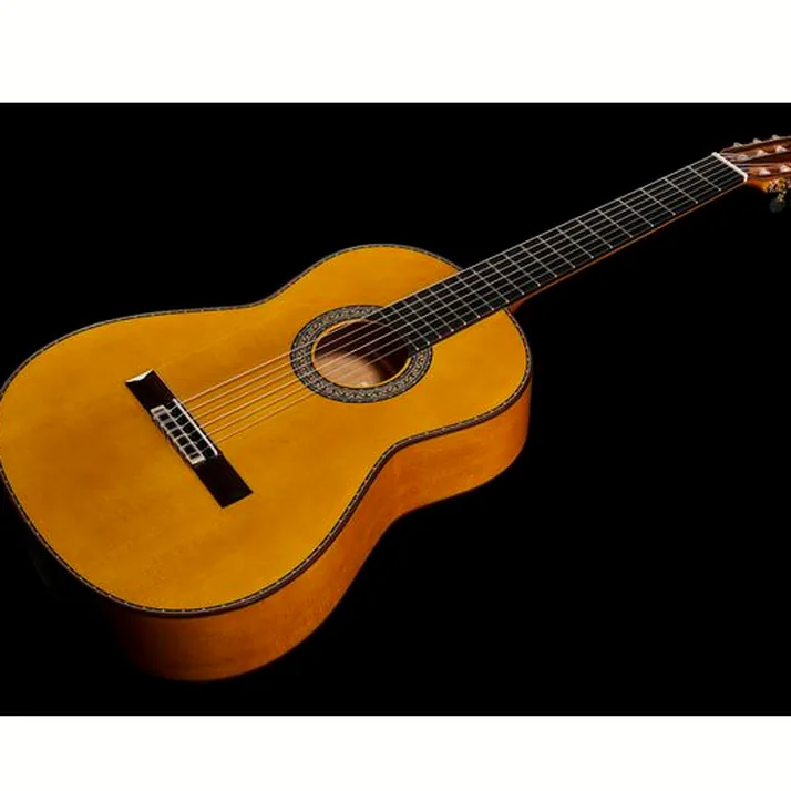 Juan Hernandez Flamenca Profesional SP