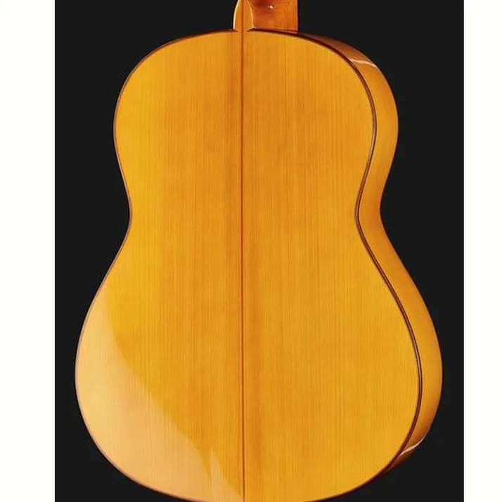 Juan Hernandez Luthier Flamenca SP