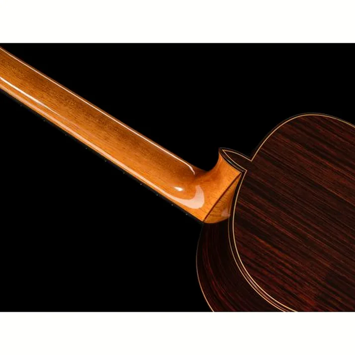 Juan Hernandez Modelo Maestro Especial DbT