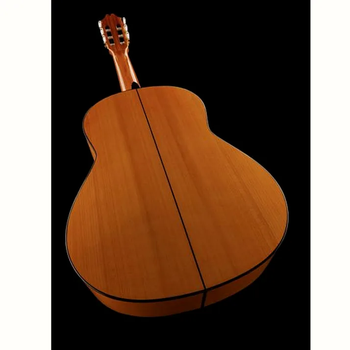 Juan Hernandez Profesor Spruce Flamenca